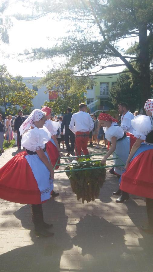 Za Vodou Pensionat Moravská Nová Ves Exteriör bild